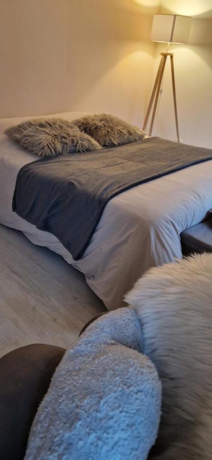 Cosy Appartement Complet Centre-Ville Montbéliard מראה חיצוני תמונה