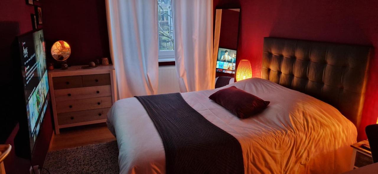 Cosy Appartement Complet Centre-Ville Montbéliard מראה חיצוני תמונה