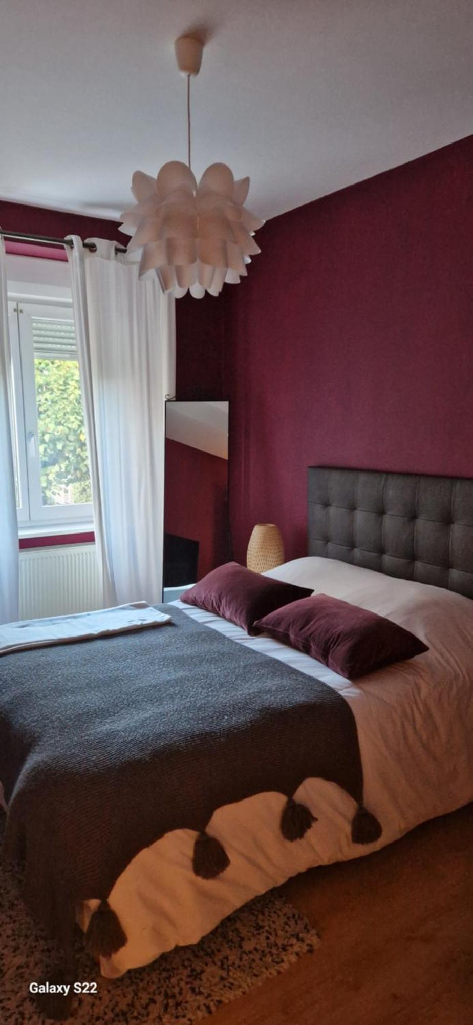 Cosy Appartement Complet Centre-Ville Montbéliard מראה חיצוני תמונה